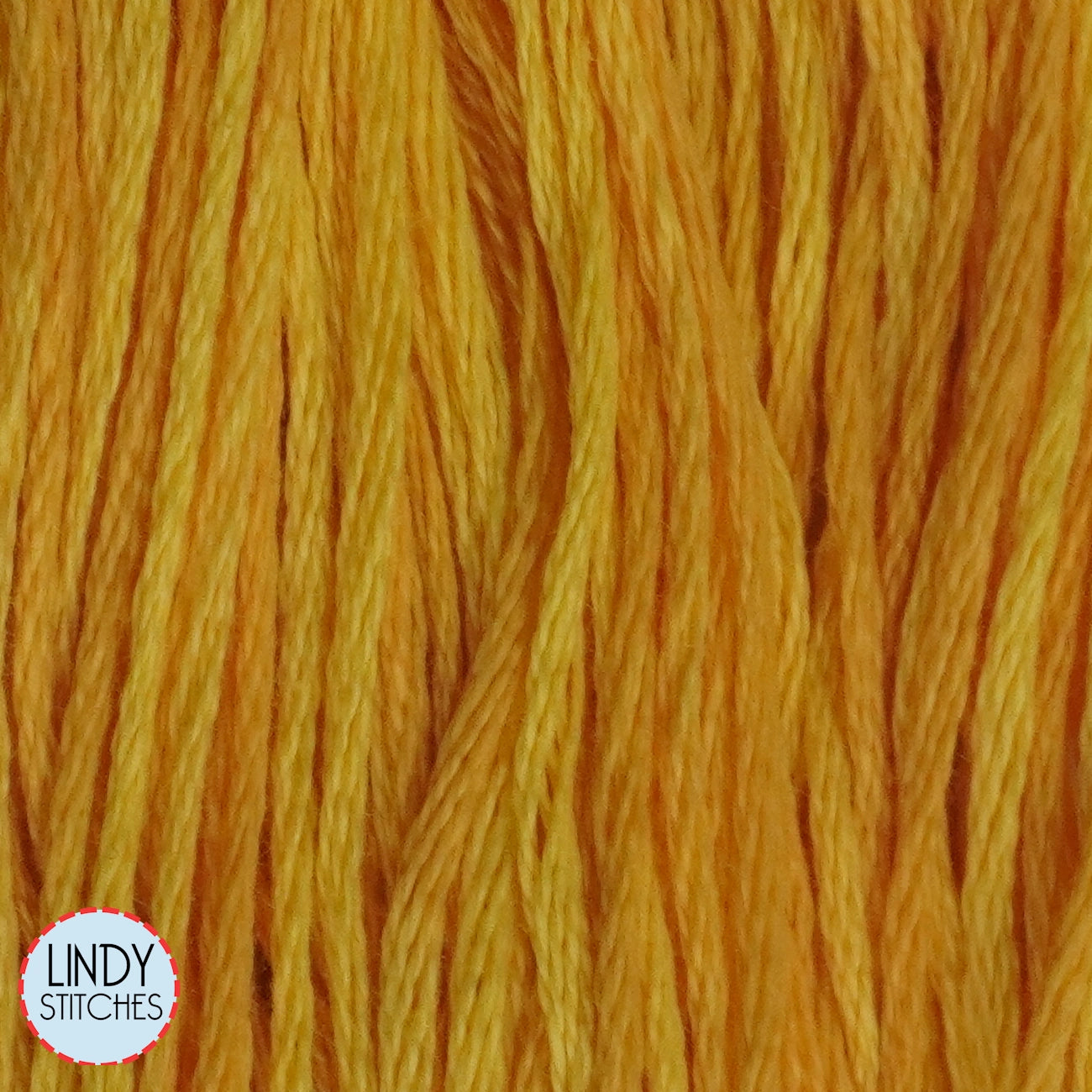 Squash Weeks Dye Works Floss Hand Dyed Cotton Skein 2224