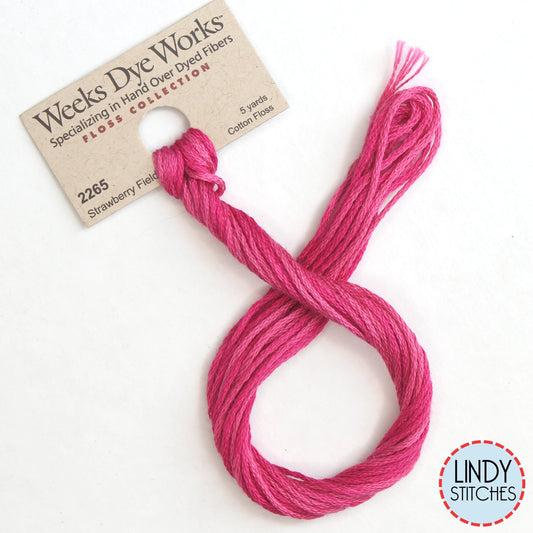 Strawberry Fields Weeks Dye Works Floss Hand Dyed Cotton Skein 2265