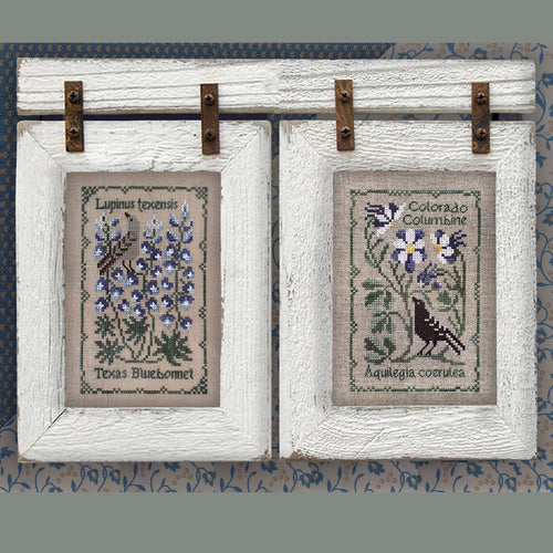 Colorado Columbine Cross Stitch Pattern by The Drawn Thread