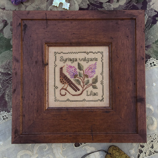 Common Lilac by The Drawn Thread