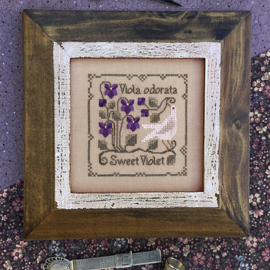Sweet Violet Cross Stitch Pattern by The Drawn Thread
