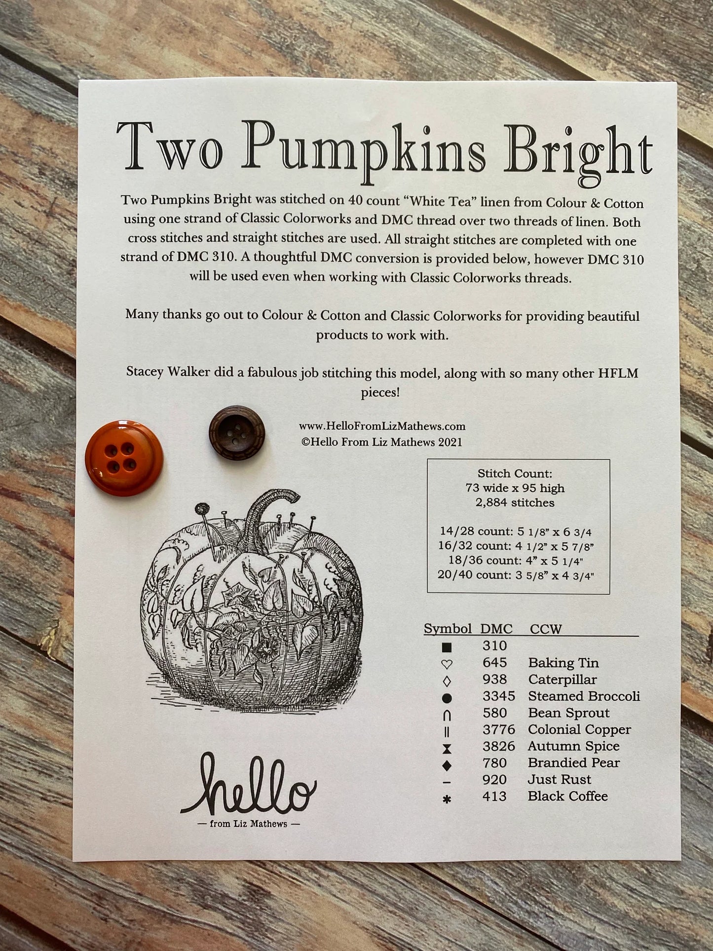 Two Pumpkins Bright Hello from Liz Mathews Cross Stitch Pattern