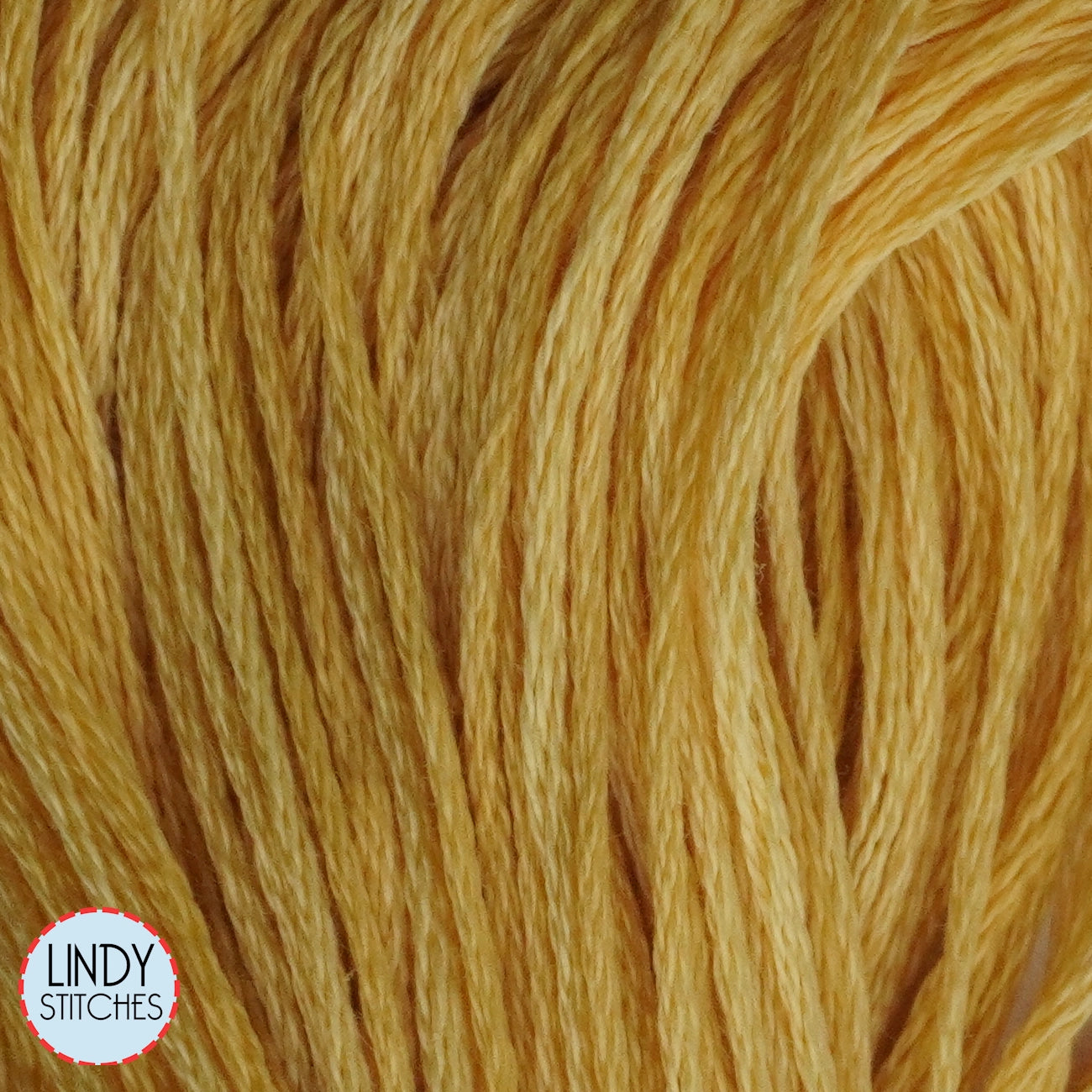 Yukon Gold Weeks Dye Works Floss Hand Dyed Cotton Skein 2221