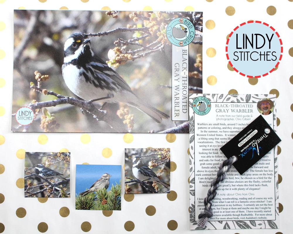 Black-Throated Gray Warbler Bird Crush Club Cross Stitch Pattern #4