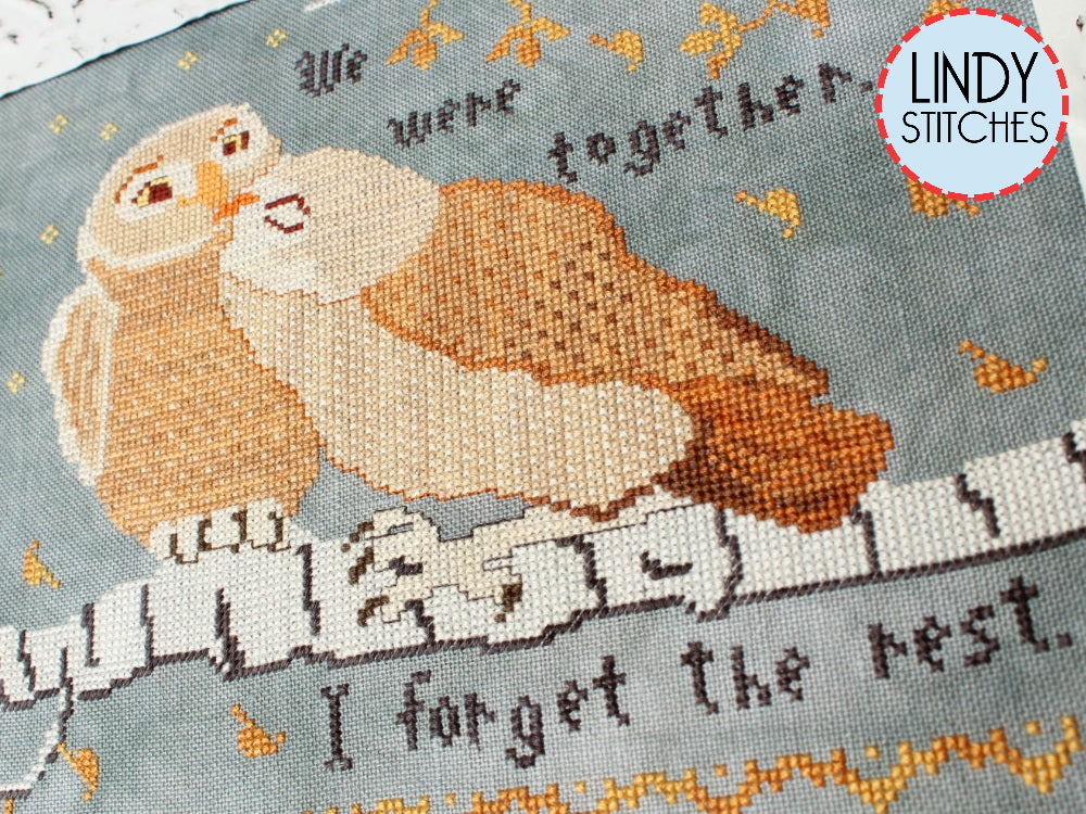 I Forget The Rest Cross Stitch Pattern by Lindy Stitches